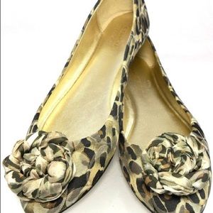 Coach / EUC Mimsy Ballerina Flats  Ocelot Print Multi Neutral Tones Size 7.5
